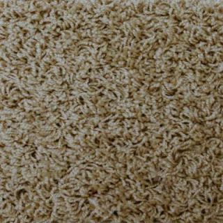 Home Decorators Collection Emerald Bay Color Morning Star 12 ft. Carpet HD142 TW2