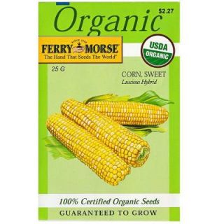Ferry Morse Corn Sweet Luscious Hybrid Seed 3183