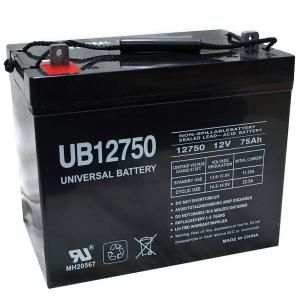 UPG SLA 12 Volt I4 Internal Threaded Post Terminal AGM Battery UB12750 (Group 24)