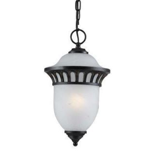 Hampton Bay Pacifica Collection 9 in. 1 Light Outdoor Imperial Bronze Hanging Lantern THD15146E