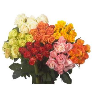 100 Stems Assorted Valentines Day Roses Free Delivery 100 assorted roses vd