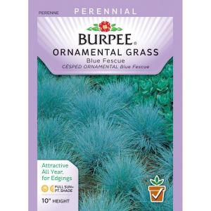 Burpee Blue Fescue Ornamental Grass Seed 46995