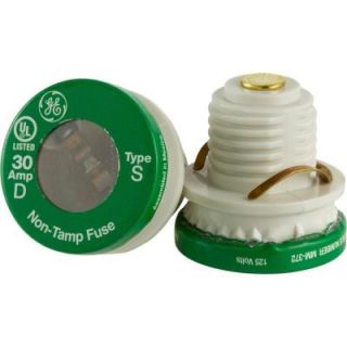 GE 30 Amp Type Time Delay Fuse (2 Pack) 18253