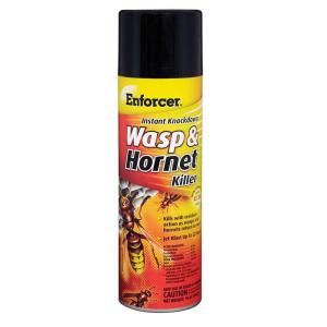 ENFORCER 16 oz. Wasp, Hornet and Flying Insect Control (Case of 12) EWHIK16