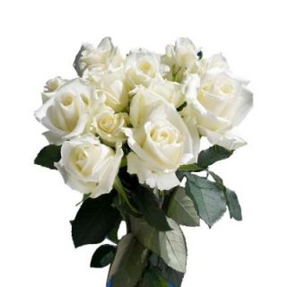 50 Stems White Roses roses white 50