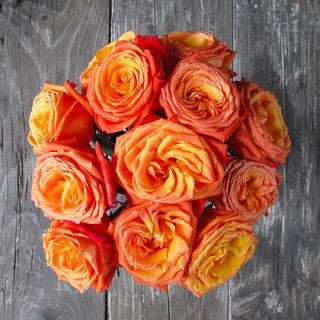 The Bouqs Company Dawn Orange Flower Bouquet