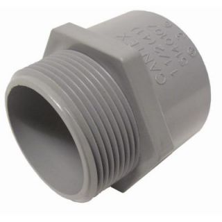 Cantex 3/4 in. Male Terminal Adapter R5140104