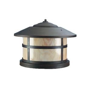 Illumine 1 Light 14.5 in. Outdoor Matte Bronze Lantern CLI SPJ43 06 B MBR