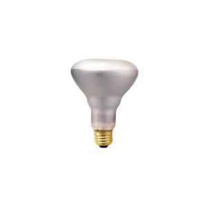 Illumine 65 Watt Incandescent BR30 Light Bulb (10 Pack) 8294964