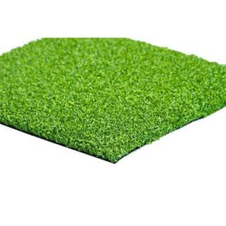 GREENLINE Putting Green 56 6 ft. x 8 ft. Artificial Synthetic Lawn Turf Grass Carpet for Outdoor Landscape GLPUTT5668