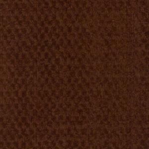Natural Harmony Earth Textures   Color Ruby 13 ft. 2 in. Carpet 179142