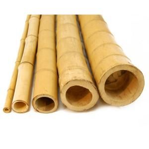 Backyard X Scapes 2 in. D x 8 ft. H Natural Bamboo Poles (10 Piece Bundle) HDD BP07