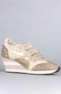 Ash Shoes The Alfa Sneaker in Clay Suede and Washed Canvas