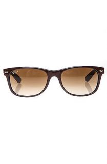 Ray Ban Sunglasses New Wayfarer in Brown & Blue