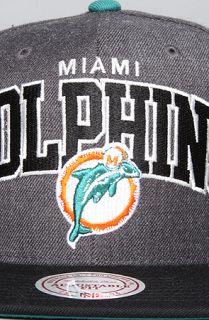 Mitchell & Ness The Miami Dolphins Arch Logo G2 Snapback Hat in Gray