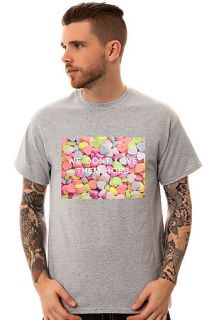 Untitled & Co The We Dont Love Them Hoes Tee in Heather Gray