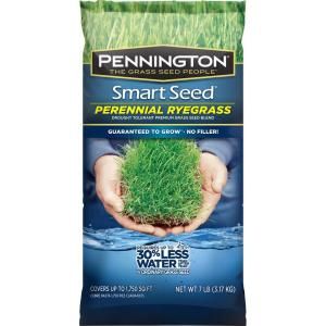 Pennington Smart Seed 7 lb. Perennial Ryegrass Blend 118540