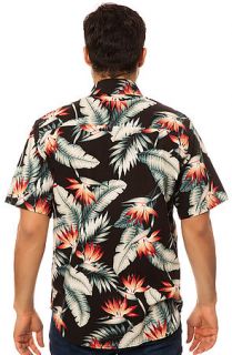 HUF Shirt Birds Of Paradise SS Buttondown in Black