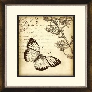 14.5 in. x 16.5 in. Botanical Butterfly B Framed Wall Art 1 10882B