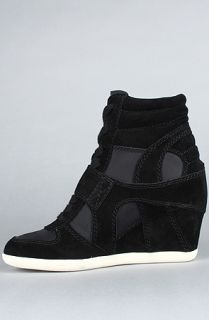 Ash Shoes The Biba Sneaker in Black Calf Suede