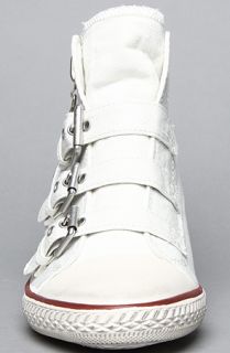Ash Shoes The Gin Sneaker in White Canvas