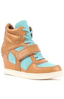 Ash Shoes Sneaker Coca in Natural and Turquoise