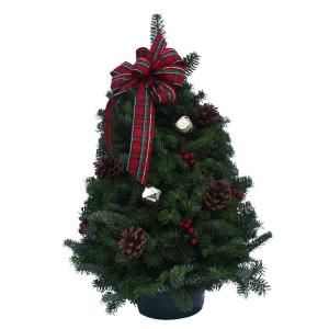 Worcester Wreath 18 in. Highland Fresh Balsam Tabletop Tree Arrangement  Sold Out for the Season   DISCONTINUED HT18 WK7