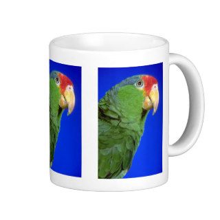 Green Cheeked  Parrot Coffee Mug