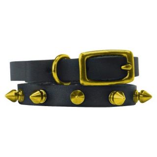 Platinum Pets Black Genuine Leather Cat and Puppy Collar with Spikes   Gold (7.