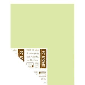 YOLO Colorhouse 12 in. x 16 in. Sprout .05 Pre Painted Big Chip Sample 221857