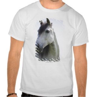 portrait of white horse t shirt