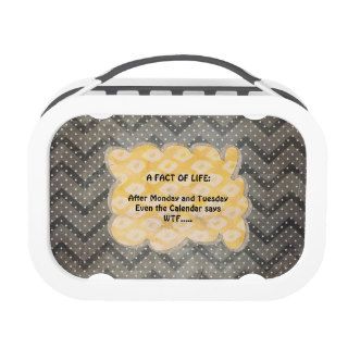 WTF Fun Facts Lunch Box