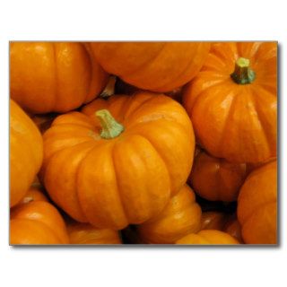Fall Harvest Pumpkins Post Cards