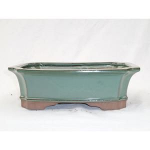Olinda Bonsai 6 in. x in. Ceramic Bonsai Pot 12