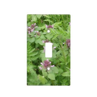 Purple / Red Deadnettle Switch Plate Covers