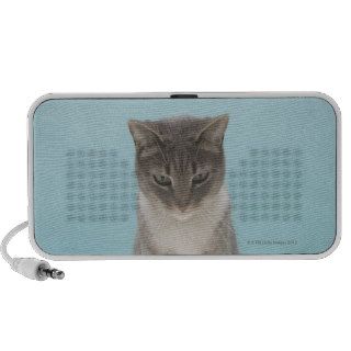Cat looking at toy mouse on rug travelling speaker