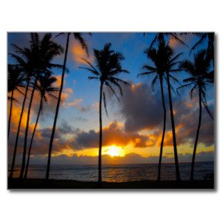 Hawaiian Sunrise Post Card