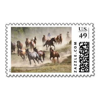 Horses running during roundup, Montana Postage Stamp