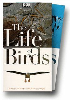 The Life of Birds [VHS] David Attenborough Movies & TV