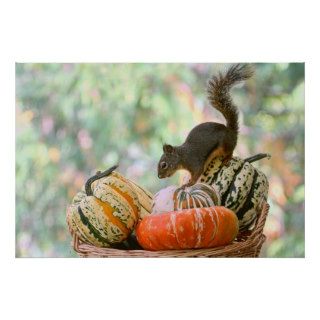 Autumn Harvest Squirrel Print