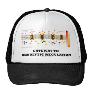 Gateway To Osmolytic Regulation (Active Transport) Hats