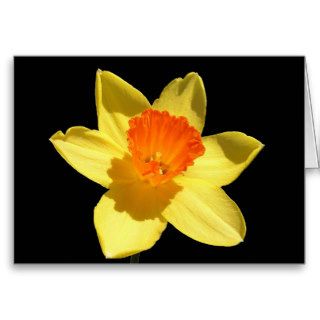 Daffodil (Background Removed) Greeting Card