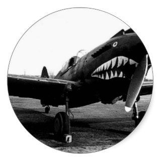WWII Flying Tigers Curtiss P 40 Fighter Plane Stickers