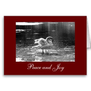 Grey Swan Christmas Card