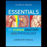 Essentials of Human Anatomy and Physiology  Lab. Manual