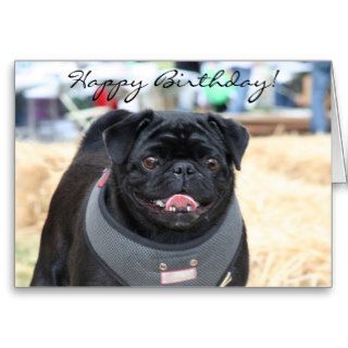 Happy Birthday Black Pug greeting card