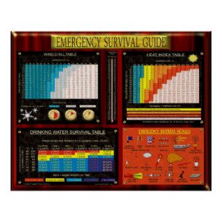 EMERGENCY SURVIVAL GUIDE POSTERS