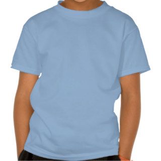 Plain Light Blue Background. T shirts