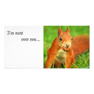 Red Squirrel with a nut, I'm nuts over youPhoto Cards