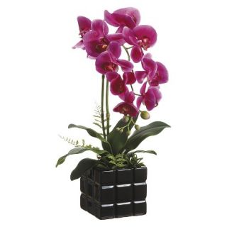 Purple Orchid in Ceramic Block Pot